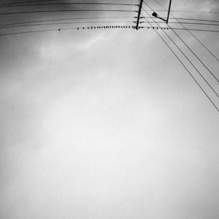 the album cover for Margjeka Armand - Hummingbird