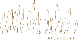 the album cover for Balmorhea - Balmorhea