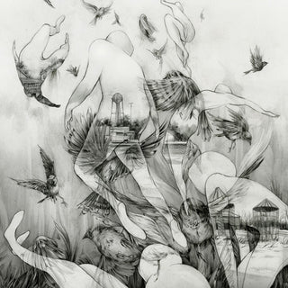 the album cover for Mono - Last Dawn