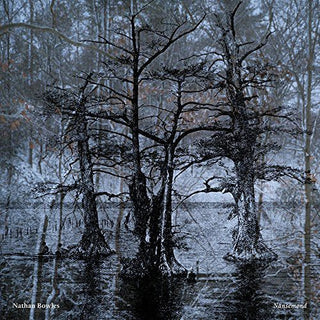 the album cover for Nathan Bowles - Nansemond