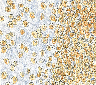 the album cover for David Greenberger & Dozens - Greenberger, David & Dozens : Near the Edge of the Penny Jar Spill