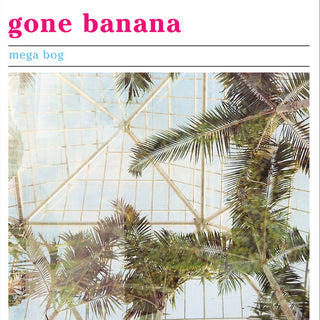 the album cover for Mega Bog - Gone Banana