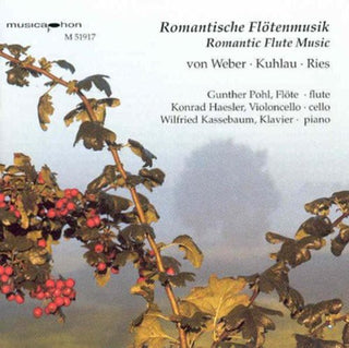 the album cover for Kuhlau / Haesler / Kassebaum - Flute Trio