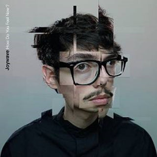 the album cover for Joywave - How Do You Feel Now