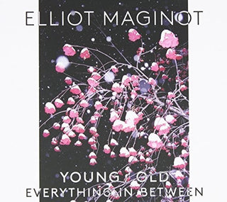 the album cover for Unknown Artist - Young. Old. Everything. In. Between