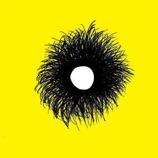 Jackson Scott- Sunshine Redux