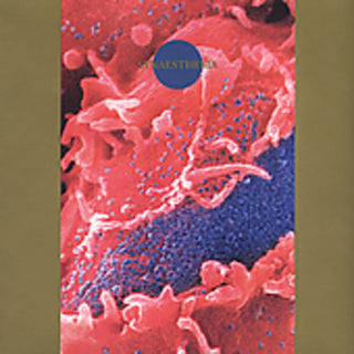 the album cover for Death Ambient - Synaesthesia
