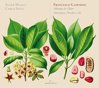 the album cover for Gasparini / Auser Musici / Ipata - Mirena & Floro