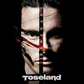 the album cover for Toseland - Renegade