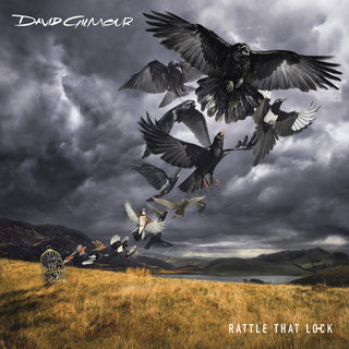 the album cover for David Gilmour - Rattle That Lock