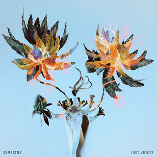 the album cover for Esmerine - Lost Voices