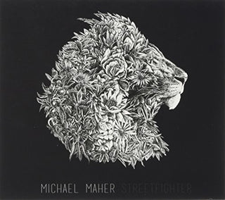 the album cover for Michael Maher - Streetfighter