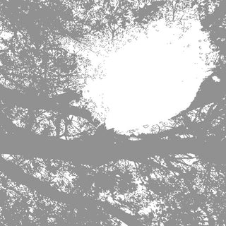 Comets on Fire- Field Recordings from the Sun