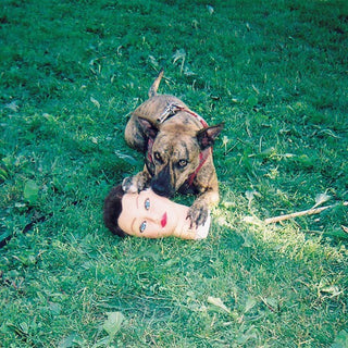 Joyce Manor- Cody