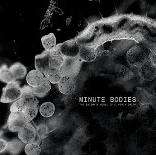 the album cover for Tindersticks - Minute Bodies: Intimate World Of F. Percy Smith