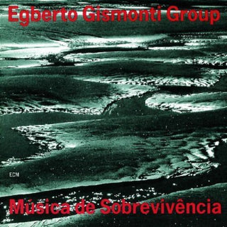 the album cover for Gismonti/Vasconcelos - Musica de Sobrevivencia