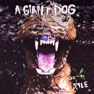 the album cover for A Giant Dog - Pile