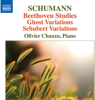 the album cover for Robert Schumann / Chauzu,Olivier - Beethoven Studies Ghost Variations & Schubert Variations
