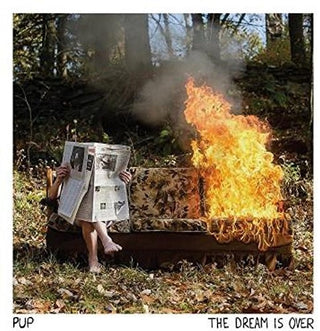 the album cover for Pup - The Dream Is Over