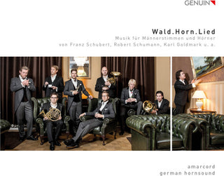 the album cover for K Goldmark / Hornsound,German - Wald.horn.lied
