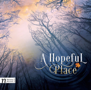 the album cover for D Redfeld / Holden,Kristi / Redfeld,Dan - Dan Redfeld: A Hopeful Place