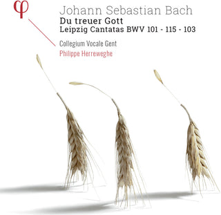 the album cover for Bach / Philippe Herreweghe / Collegium Vocale - Du Treuer Gott / Leipzig Cantatas