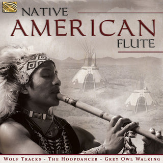 the album cover for Native American Flute / Various Uk - Native American Flute