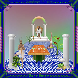 the album cover for Jonathan Wilson - Rare Birds