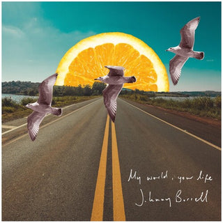 Johnny Borrell- My World Your Life