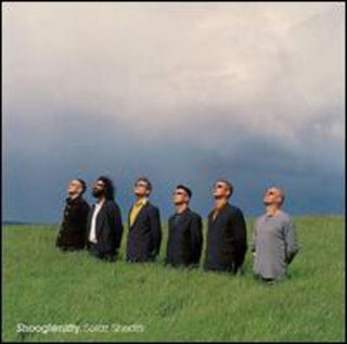 the album cover for Shooglenifty - Solar Shears