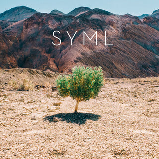 Syml- In My Body