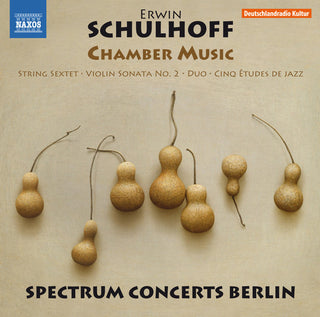 the album cover for Schulhoff / Brovtsyn / Sokolov - Erwin Schulhoff: Chamber Music