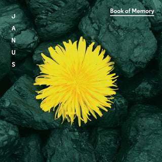 the album cover for Januš - Book of Memory