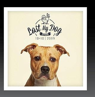 the album cover for Lost My Dog 10x10 2009 / Var - Lost My Dog 10x10 - 2009
