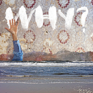 the album cover for Why? - Moh Lhean