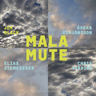 the album cover for Chris Tordini - Malamute