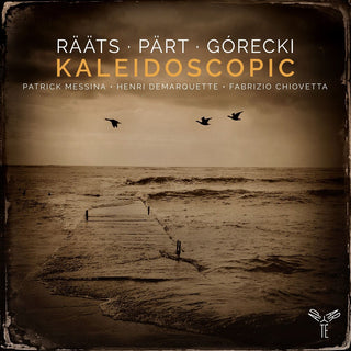 the album cover for Patrick Messina / Chiovetta,Fabrizio / Demarquette - Kaleidoscopic