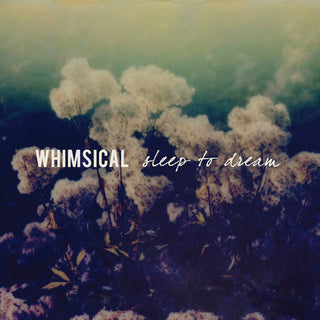 the album cover for Whimsical - Sleep To Dream