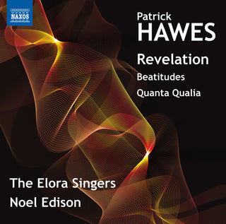 the album cover for Noel Edison - Revelation