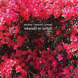 the album cover for Whit Dickey / Maneri,Mat / Shipp,Matthew - Vessel In Orbit