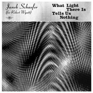 Janek Schaefer- What Light There Is Tells Us Nothing