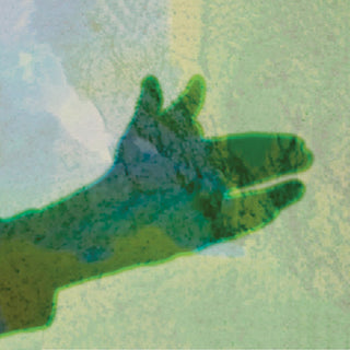 the album cover for Native Instrument - Camo