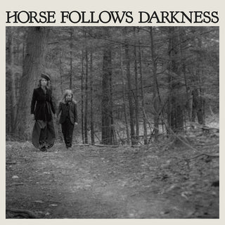 the album cover for Delia Gonzalez - Horse Follows Darkness