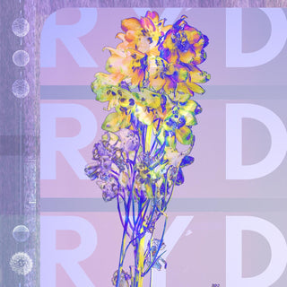 the album cover for RYD - Ryd