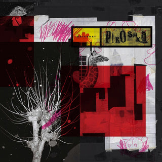 the album cover for Piroshka - Brickbat [LP]