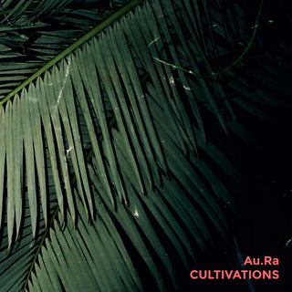 the album cover for Aura - Cultivation