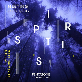 the album cover for MATT HAIMOVITZ - Meeting of the Spirits