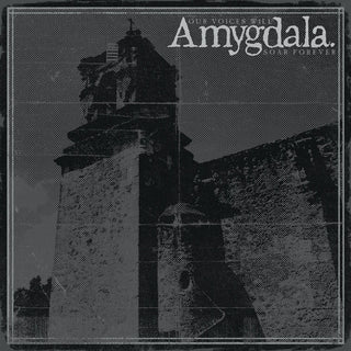 the album cover for Amygdala - Our Voices Will Soar Forever