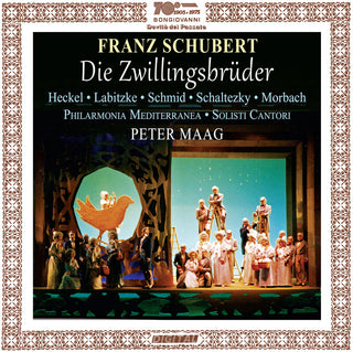 the album cover for Schubert / Heckel / Maag - Die Zwillingsbruder