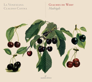 the album cover for Wert / La Venexiana / Cavina - Giaches de Wert: Madrigali